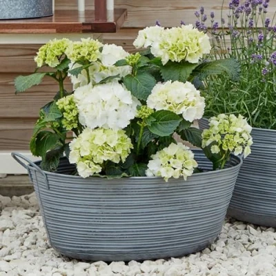 Image of Ivyline Matlock Galvanised Metal Oval Planter UV Stable &amp; Frost Resistant Decorative Stylish Weatherproof Outdoor Flower Pot H34cm x W58.50cm
