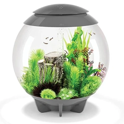Image of biOrb Halo 30L Aquarium in Grey with MCR LED Lighting