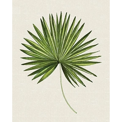 Image of The Art Group Summer Thornton (Tropical Leaf III) Canvas Print 40 x 50cm, Wood, Multi Colour, 50 1.3 cm