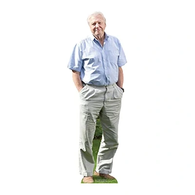 Image of STAR CUTOUTS CS915 David Attenborough (Star Mini Celebrity Cardboard Cutout), Solid, Multicolour, Regular