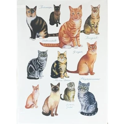 Image of Half a Donkey The Cat Show Large Cotton Tea Towel