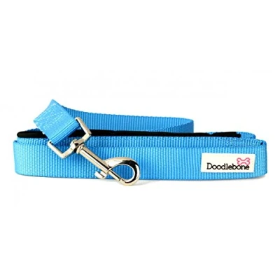 Image of Doodlebone Dog &amp; Puppy Leads 10 Bold Colours/3 Sizes (Small, Cyan)