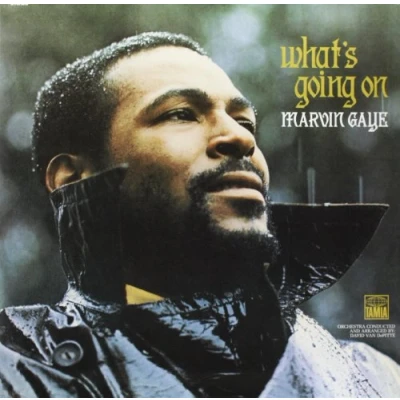 Image of What&#039;s Going On (180 Gram Vinyl) [VINYL]