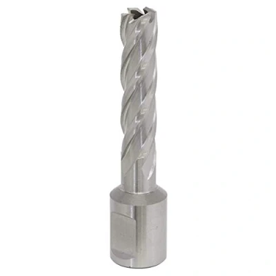 Image of Worksafe Rotabor Cutter HSS Ø12mm Cut Depth 50mm