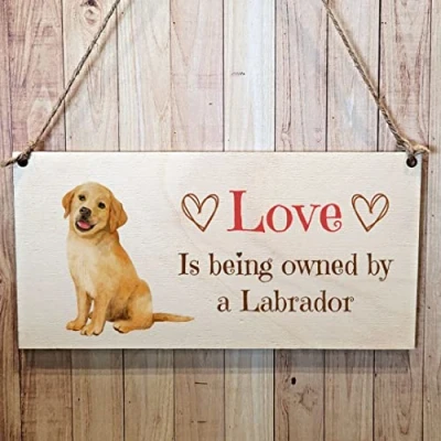 Image of Second Ave Labrador Dog Wooden Hanging Gift Rectangle Home Sign Plaque