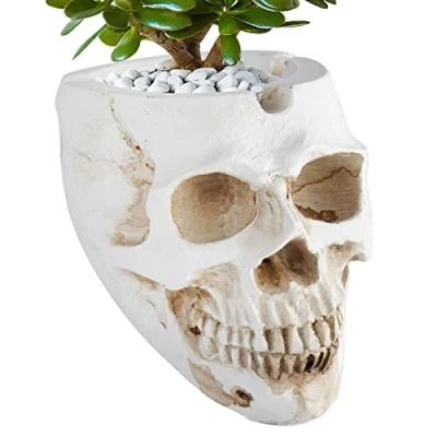 Image of Maodom Skull Ashtray, Spooky Human Ash Container, Decorative Skulls, Skeletons Figurines for Halloween Accessories, Room Decor Smokers