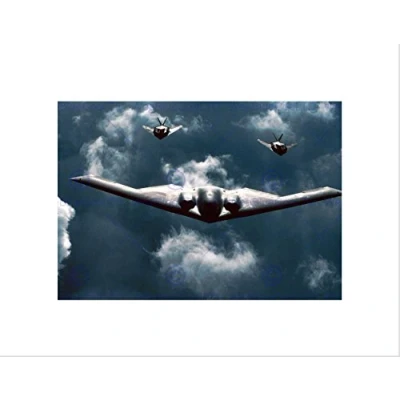 Image of Wee Blue Coo MILITARY AIR PLANE B 2 SPIRIT BOMBER F 117 NIGHTHAWK STEALTH ART PRINT B12X7738