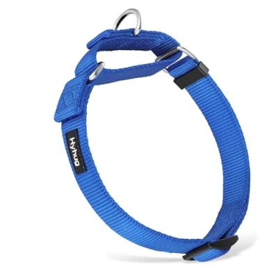 Image of Heavy Duty Nylon Escape proof Martingale Dog Collar for Small Boy and Girl Dogs Walking Training Daily Use. (Small, Bright Blue)