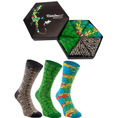 Image of Rainbow Socks Men Women Novelty Reptile Box Gift 3 Pairs Snake Chameleon Alligator Size 7,5 11