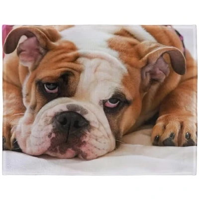 Image of YISUMEI Soft Fleece Blanket English Bulldog, 125 x 150 cm Throw Suitable for Sofa or Bed