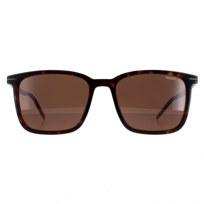 Image of BOSS Hugo Hg 1168/s Sunglasses, 086/70 Havana, 54