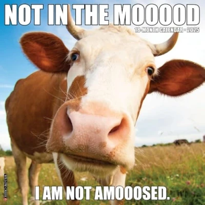 Image of Not in the Mooood 2025 Wall
