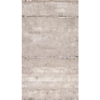 Image of Livingwalls Photo Wallpaper Concrete Look Grey Floral 2.80 m x 1.59 Living Room Modern
