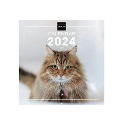 Image of Finocam Cats International Wall Photo Calendar 2024 January December (12 months)
