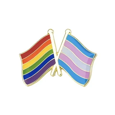 Image of Patch Nation Multi coloured Pin Badge Gay Pride Lesbian Rainbow LBGTQ Trans Transgender Friendship Flag