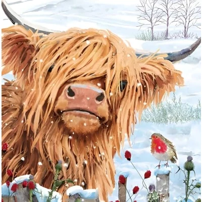 Image of Noel Tatt Charity Christmas Cards Pack of 10 with Artistic Highland Cow and Robin Design Eco Friendly Xmas Multipack Envelopes