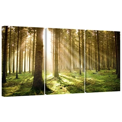 Image of Set of 3 Green Canvas Art Wall Pictures Trees Landscape Print 3042