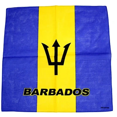 Image of Zac&#039;s Alter Ego Flag Bandana, Neckerchief 100% Cotton