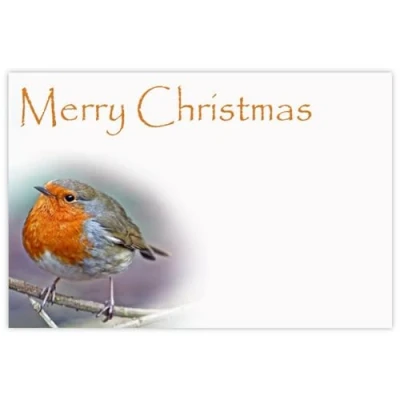 Image of celloexpress Merry Christmas (Robin) Flower Message Cards 60mm x 90mm Florist Card Gift Notes (Pack of 50)