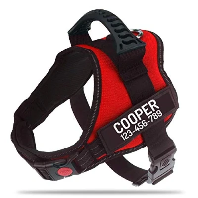 Image of PawPawify Personalised No Pull Dog Harness with Custom Name and Phone Number, Heavy Duty Pet Vest to Prevent Tugging, Pulling, or Choking, Training Walking (Red, S Chest 20 25in)