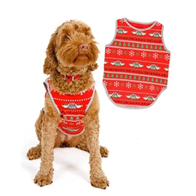 Image of FRIENDS Christmas Family Pyjamas Central Perk Festive PJs Set Men, Women, Boys, Girls and Pets Xmas Dog T Shirt X Small