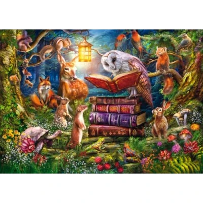 Image of Schmidt CSG59779 Jigsaw Puzzle, Multicolour