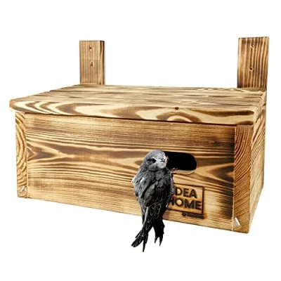 Image of LEVIATAN APUS Nesting Box for Wall Sailor Birds Solid Wood Ready to Use, No Assembly Required Bird House