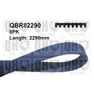 Image of 8PK2287, 8PK2288, 8PK2289, 8PK2290, 8PK2291 V ribbed belt QUINTON HAZELL QBR82290 2290mm 8 MERCEDES BENZ: E Class Saloon, S ML