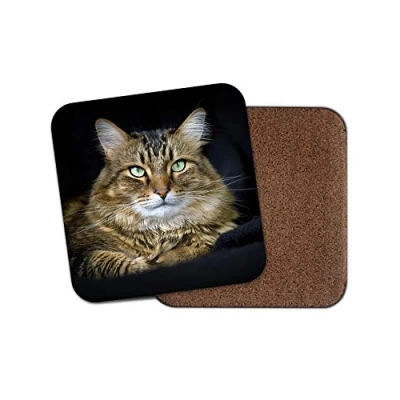 Image of 1 x Beautiful Tabby Cat Coaster Kitten Cats Pet Animal Cute Pets Mum #15586