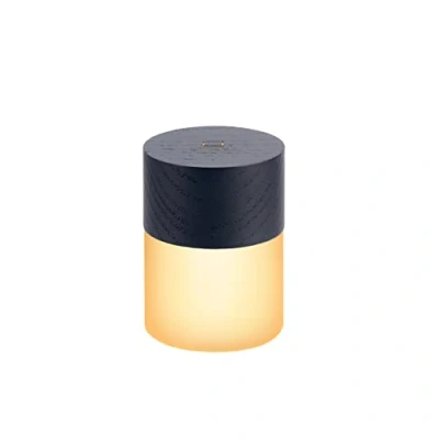 Image of Gingko Design 7 Colour Changing RGB Lemelia Night Lights, 6cm high, Long Life Battery USB Charging, 2 Light Modes, FSC Certified Wood (Black), G026