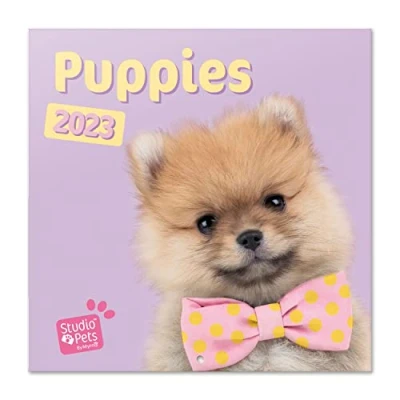 Image of Grupo Erik Studio Pets Puppies Wall Calendar 2023 12&#039; x FSC 12 Month Planner Square Family Dog + 4 Bonus Months
