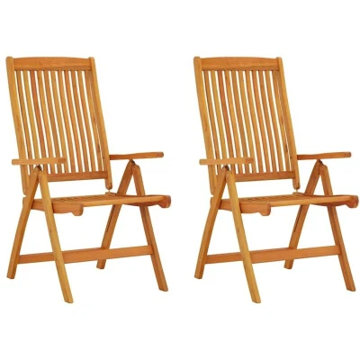 Image of vidaXL Folding Garden Chairs 2 pcs Solid Wood Eucalyptus