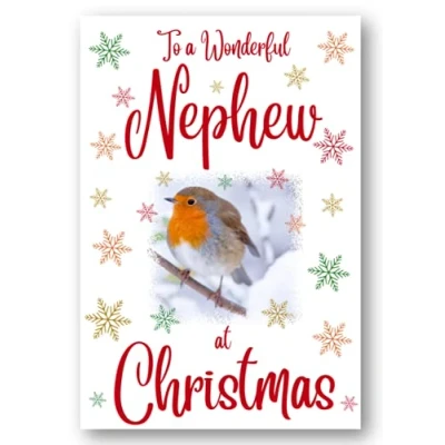 Image of Second Ave Nephew Christmas Robin Xmas Holiday Festive Greetings Card