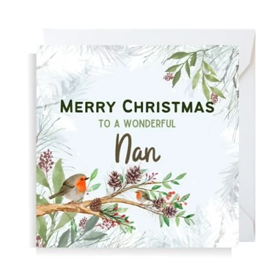 Image of Second Ave Nan Christmas Robin Square Xmas Holiday Festive Greetings Card