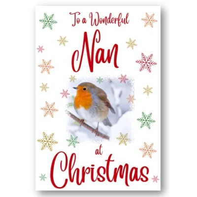 Image of Second Ave Nan Christmas Robin Xmas Holiday Festive Greetings Card