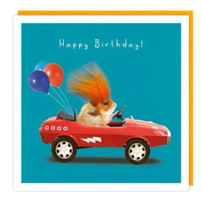 Image of Tracks Publishing Male Funny Birthday Card Happy with Hamster and Racing Car Design Fluff Embellishment for Men or Boys