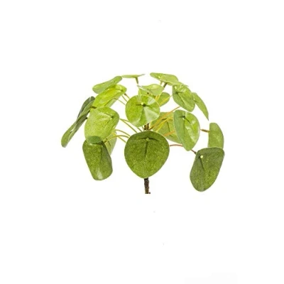 Image of artplants.de Fake Chinese money plant SYBIL on spike, green, 5.1&quot;/13cm Artificial cactus/False