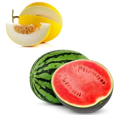 Image of Fresh Melon Box