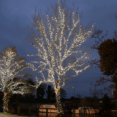 Image of ConnectGo Outdoor LED String Lights Connectable Extendable Black Rubber Cable Christmas, Parties, Weddings (50m, White w/Plug)
