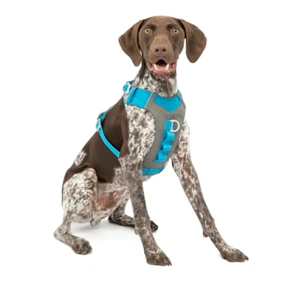 Image of Kurgo Journey Air Harness, Dog Harness for Running and Walking, Lightweight, Breathable, Medium Blue