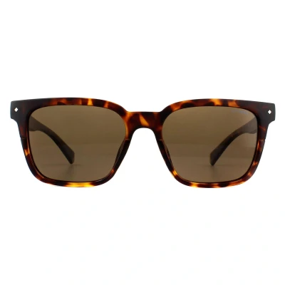 Image of Polaroid PLD 6044/s Sunglasses, Havana, 52