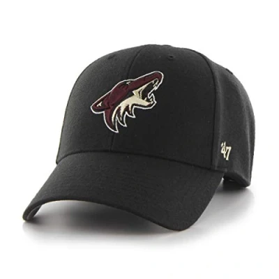 Image of 47 Arizona Coyotes Black NHL Most Value P. Cap One Size