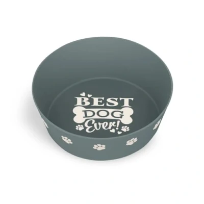 Image of Personalised Dog Bowl (Best Ever)