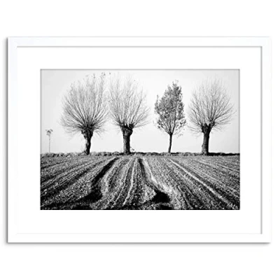 Image of Wee Blue Coo 9x7 &#039;&#039; TREES HORIZON BLACK WHITE FRAMED ART PRINT PICTURE MOUNT PHOTO F97X1560