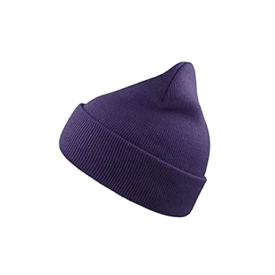 Image of Atlantis Wind Double Skin Beanie with Turn Up (One Size) (Purple)