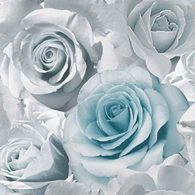 Image of Y�L Madison Rose Floral Blue Wallpaper Grey Silver Flowers Petals Bloom