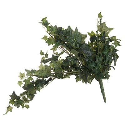 Image of The Recipe Ivy Pick