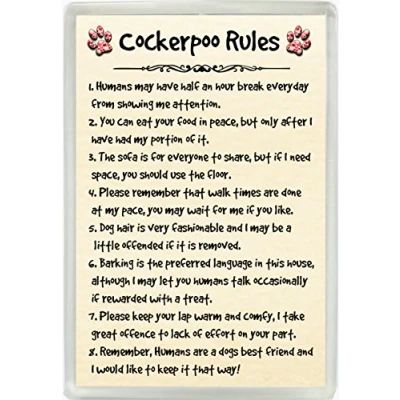 Image of Cockerpoo Rules Humour Jumbo Fridge Magnet Ideal Dog Lover Birthday Gift M125