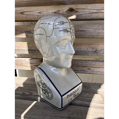 Image of Assorted Collections Extra Large Phrenology Head 12&quot; Ceramic