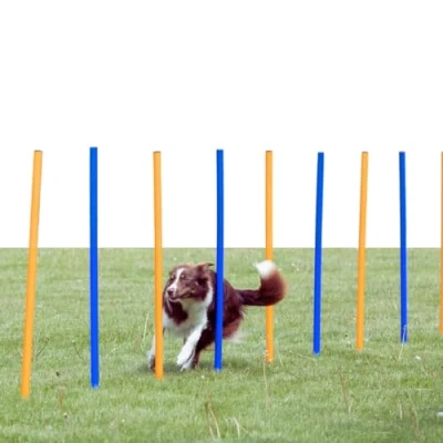 Image of Trixie Dog Activity Agility Slalom, 115 ﾗ 3 cm, Orange/ Blue, 12 Pieces
